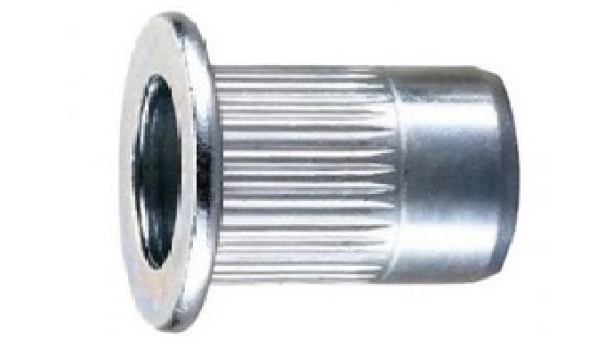 Rivet nut with head