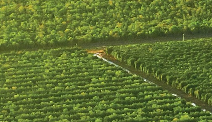 Welcome to Prakruti Hills (Phase-1), it’s a 35 Acres of Agroforestry Farmland Venture (First of it's...