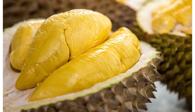 Style: Fresh Type: DURIAN Product Type: Tropical & Sub-Tropical Fruit Size (cm): up to 30cm long...