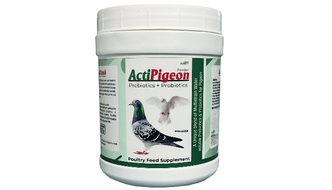 Available in 500 Gms 1 Kg 5 Kg 10 Kg 20 Kg ActiPigeon: Elevate Your Pigeon’s Health and Performance ...