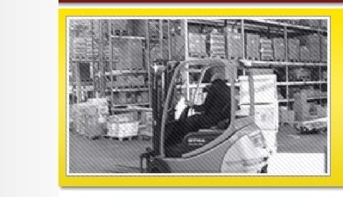 Consulta Stock On Line Preparación de pedidos a medida Picking-Packing-Logística Inversa Distribució...