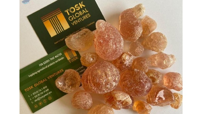 Gum Arabic (Acacia)