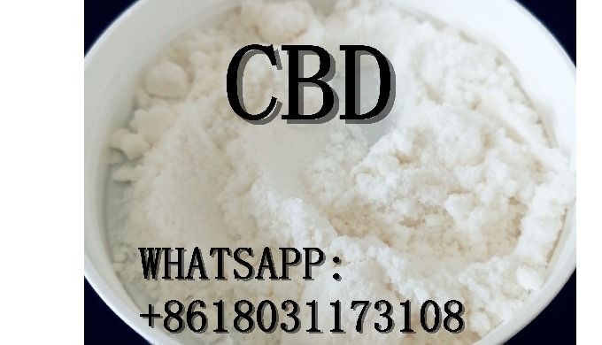 cbd whatsapp:+8618031173108
