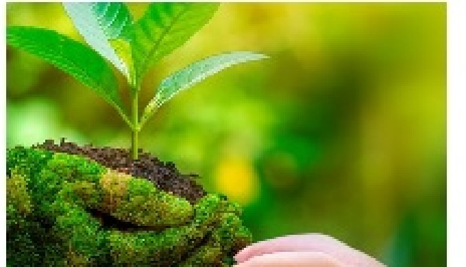 Creamos conciencia verde, reduciendo la huella de carbono, e implementando una economía circular.