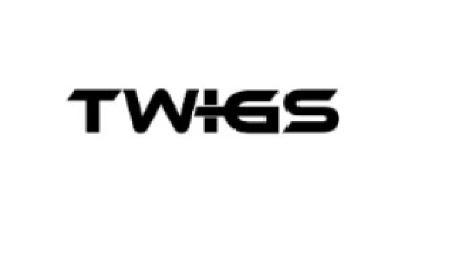 Twigs Advertising LLC – Expert Signage Manufacturers in Dubai Twigs Advertising LLC stands as a lead...