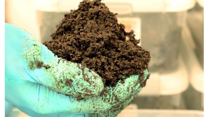 Evaluación de compostabilidad y biodegradación