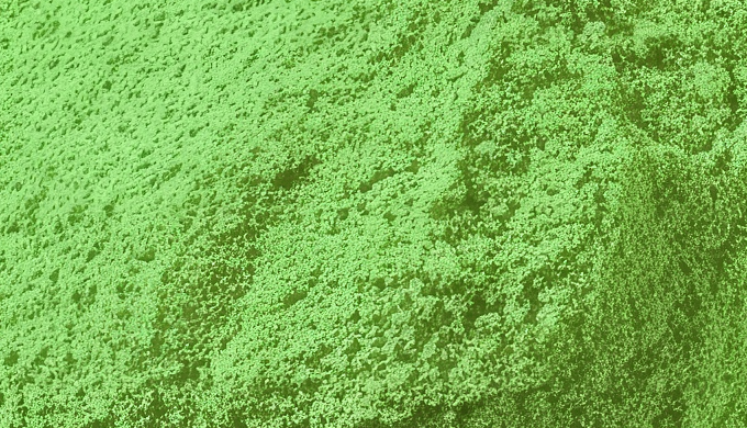 COBALT(III) ACETYLACETONATE: Corelink ® ™ CA-16