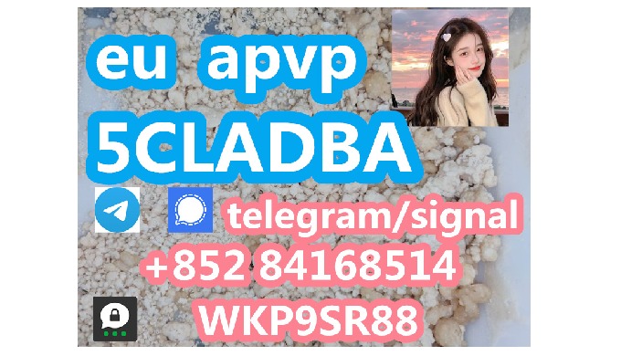Telegram/signal: +85284168514 ThreeMa: WKP9SR88 Email: tapaygrimeyf@outlook.com // We have many high...