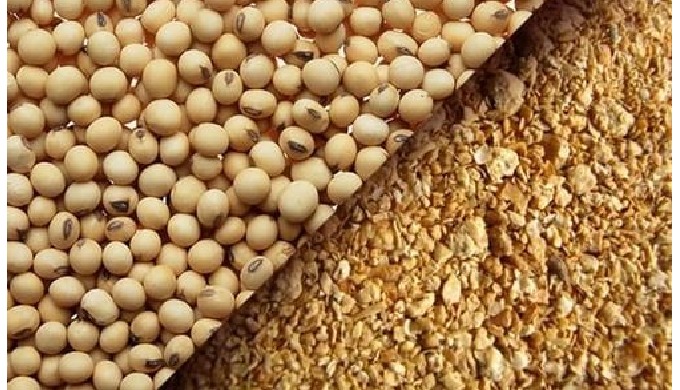 Soybean Meal HS Code: Hướng Dẫn Chi Tiết Về Mã HS Cho Bã Đậu Nành