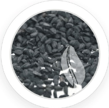 Nigella Seeds