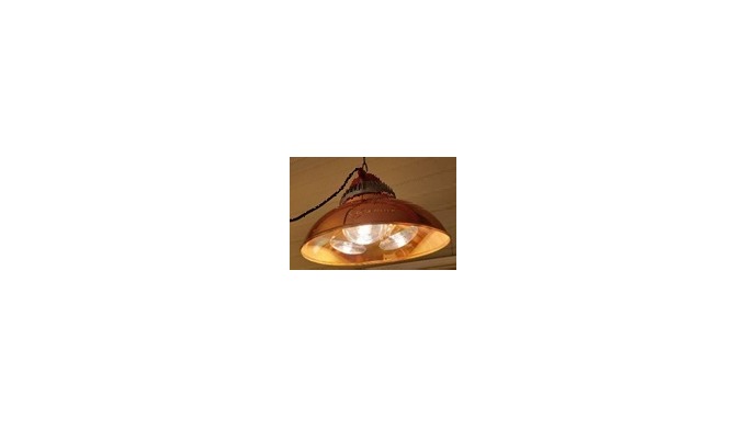 JKBL450 - Poultry industry [Details] * 3 lamp sockets * Socket : E26/E27 * Power: 375W x 3 = 1.125KW...