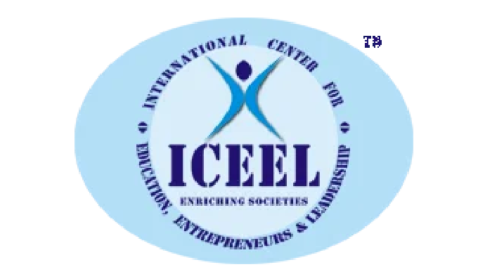 Iceel IT Services