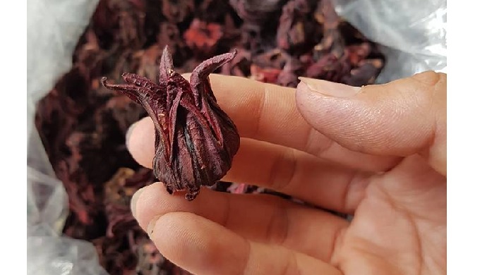Processing Type: Dried Flowers Color: purple red Type: Dried flower Place of Origin: Ho Chi Minh Cit...