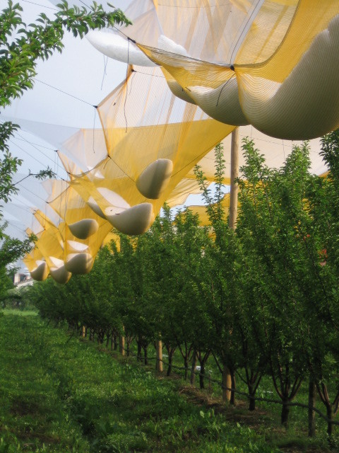 Сетка затеняющая