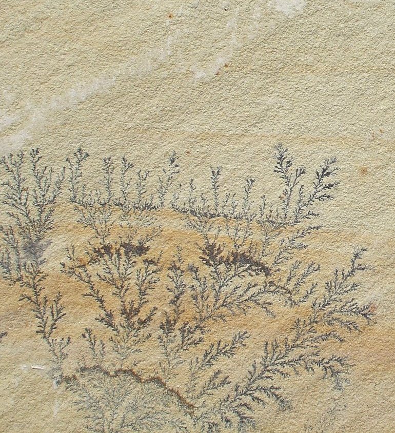 Gupta Stone Kandla Grey Sandstone 