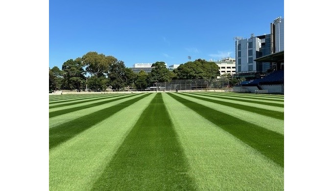 Intense perennial ryegrass is a new dark green ryegrass from Landmark Seed Company in the USA. It is...
