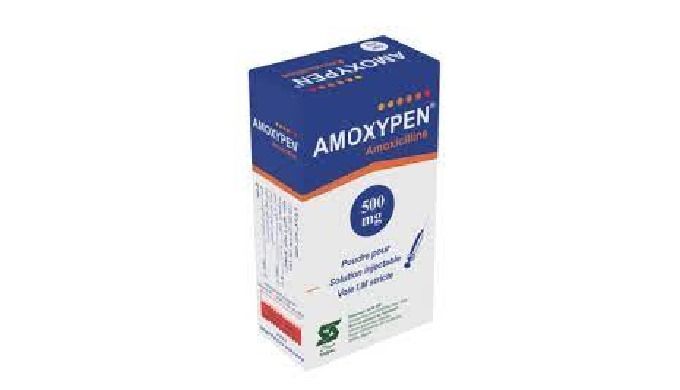 Amoxycilline injectable