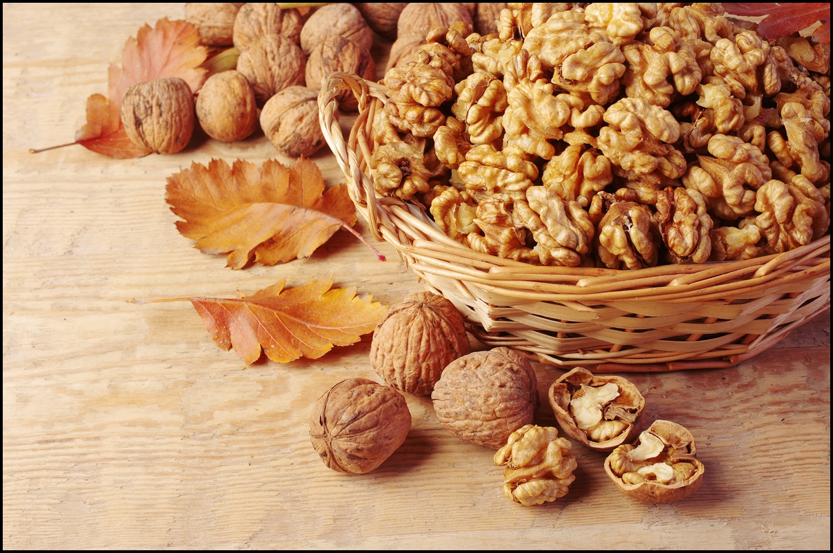 Walnuts are rich in omega-3 fats and contain higher amounts of antioxidants than most other foods. E...