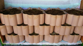 PLABL500A (Biodegradable Block)
