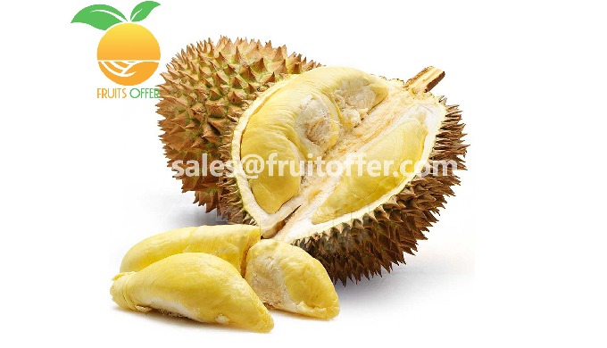 Product: Durian Origin: Viet Nam Export Type: - FROZEN: IQF Frozen IQF RI6/Monthong Durian, Seed In ...