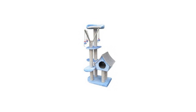 Bright elastic collar, ideal to differentiate newly born kitten. Anti-strangulation system. Composit...