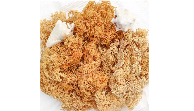 We, ATL GLOBAL Co., Ltd are one of the largest and most prestigious Distributors, Exporters and Whol...