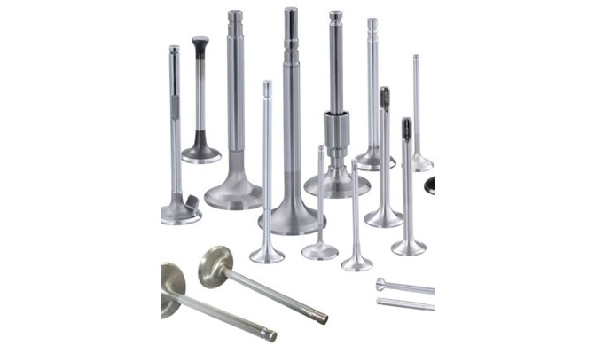 Engine Valves