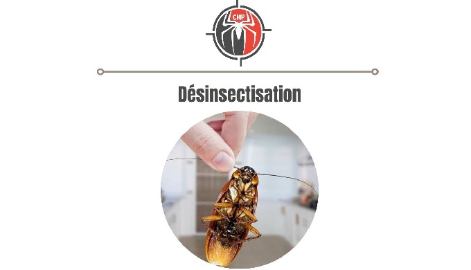 Service de désinsectisation (lutte contre les insectes volants et rompants : cafards, fourmis, mouch...