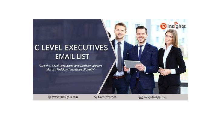 If you wish to target C-level executives, we are here to help you. TDInsights provides the high clas...