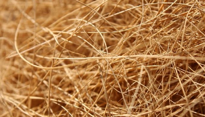 FIBRA NATURAL DE CÁÑAMO