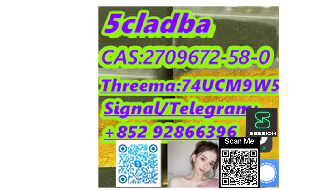 Telegram/Signal:+852 92866396 Threema:74UCM9W5 Payment terms: Western Union,MoneyGram,Bitcoin or USD...