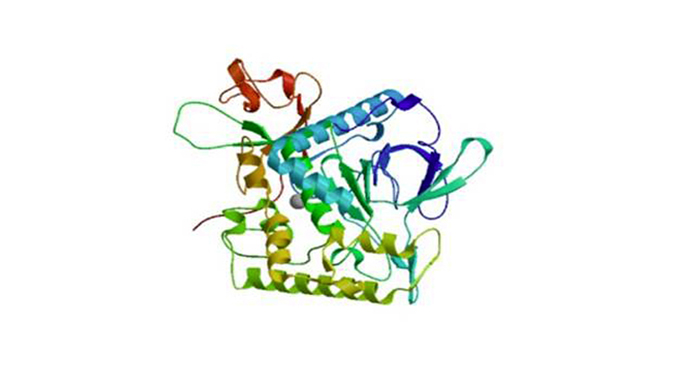 Trade name: BTALEINCI name: sr-Clostridium Botulinum Polypeptide-1 sh-Oilgopeptide-1Feature of ingre...