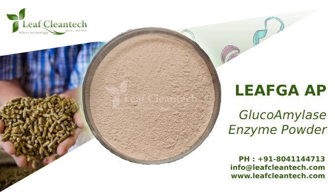 LEAFGA is a glucoamylase derived from Aspergillus sp. The enzyme catalyzes the hydrolysis of dextrin...