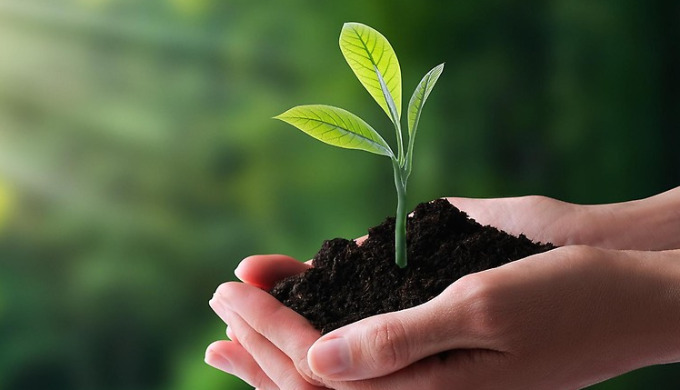 Innovation and Environmental Affairs