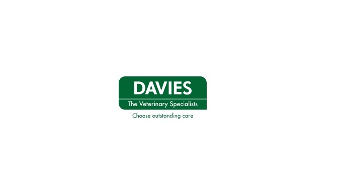 kennel cough vaccination, hip dysplasia in dogs, dog hydrotherapy, patellar luxation in dogs