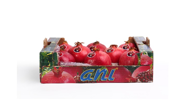 Fresh pomegranate, ANI brand