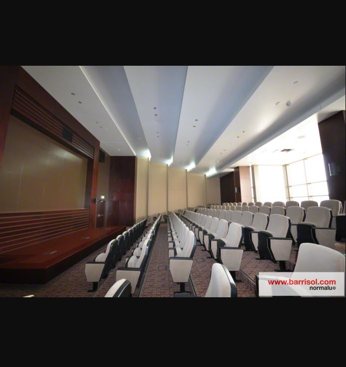 Barrisol Acoustics® - A30 Microacoustic®