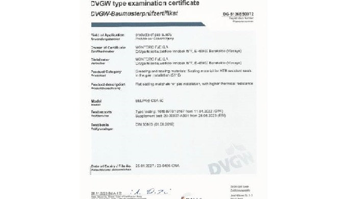 Nueva certificaci&oacute;n para gas a altas cargas t&eacute;rmicas DVGW.
