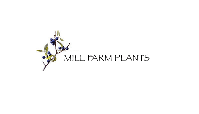 Native Hedge Plants, Ornamental Tress, Native Trees and Potted Shrubs