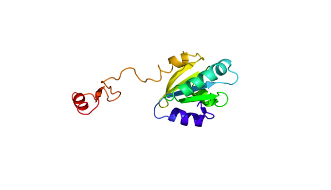 Trade name: TCTINCI name: sh-Polypeptide-2 sr-Egyptian Scorpion Oligopeptide-1Feature of ingredient ...