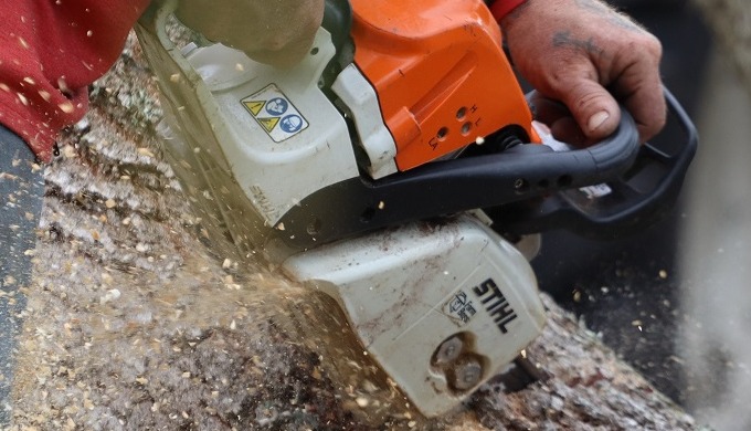 Hello, my name is James, an experienced tree surgeon. We are Landscaping contractors based in Essex....