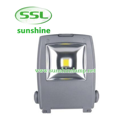 Die-casting aluminum housingAC85~265V input optionsOptical grade diffused lensGraduated angle scaleB...