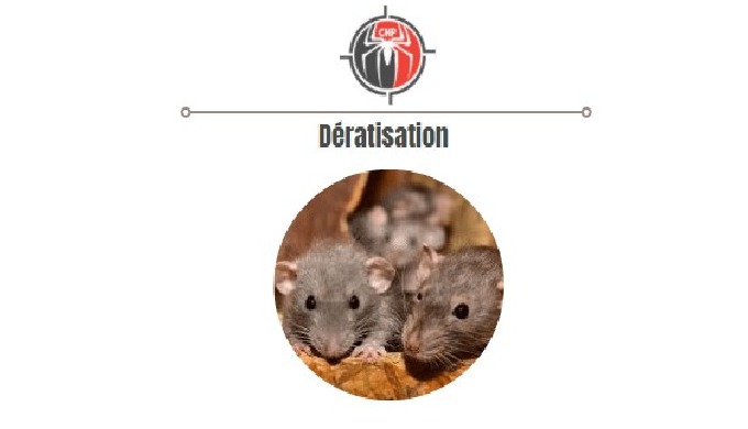 Service de dératisation (lutte contre les rongeurs: rats, souris, ...) pour particulier et professio...