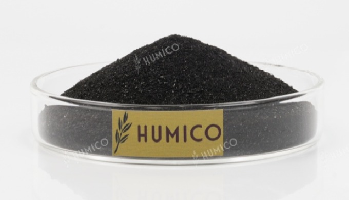 使用 HUMICO钾黄腐酸盐肥料探索先进农业的世界 。我们的优质产品系列，包括我们著名的钾黄腐酸盐和超级钾黄腐酸盐，专为促进植物生长和土壤活力而设计。 我们的钾黄腐酸盐是有机肥料的巅峰之作，可为各种农...