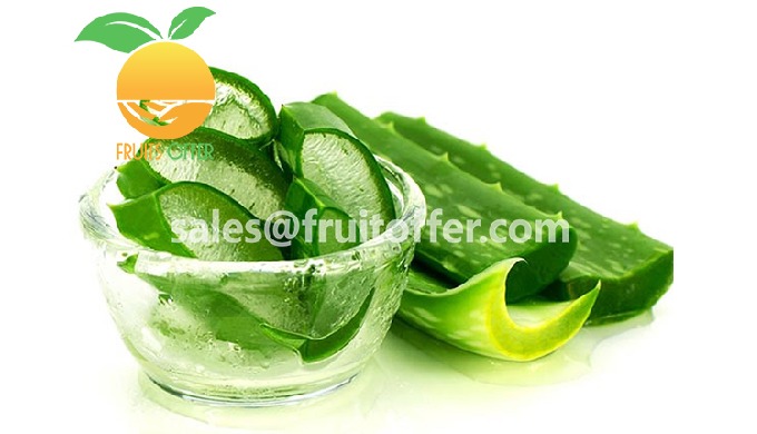 Product: Frozen Aloe Vera Gel Export Type: FROZEN, Delivered via Sea Container 20'FCL / 40'FCL Origi...