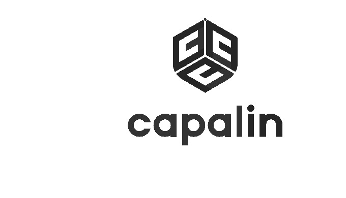 Kapalin is an insurance broking company committed to being a dependable partner in navigating the wo...
