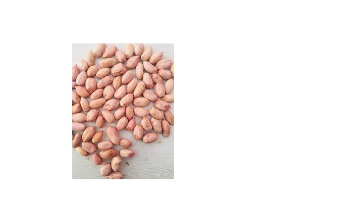 We have high quality peanuts with best price range export quality from India.