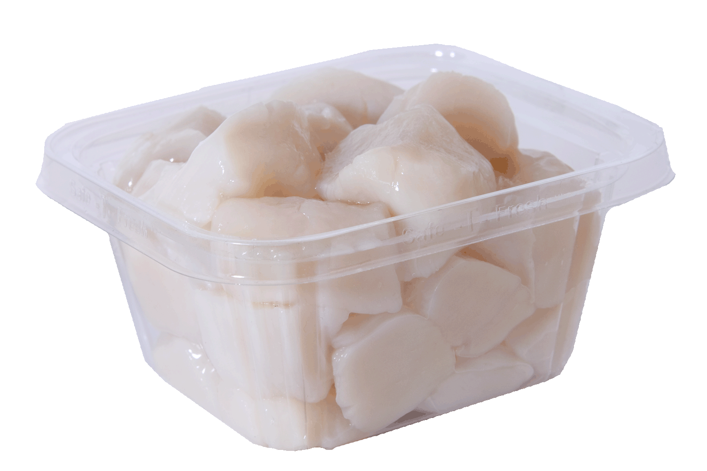 Fresh scallops from FAO21