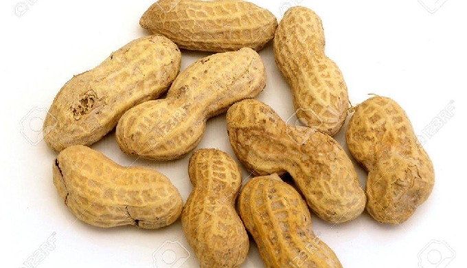 Type: Peanut Cultivation Type: Organic Processing Type: Other Style: Dried Packaging: 50 kg Gunny Ba...