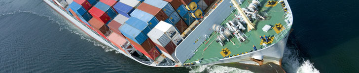 servicios de exportación e importación marítima tanto para cargas de conten...